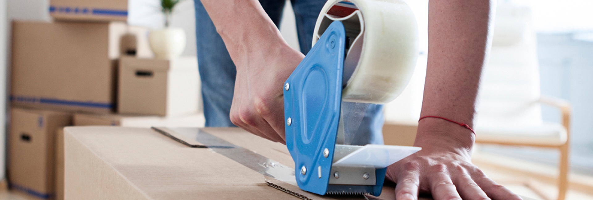 VITAL TRASLADO AUTOMOTRIZ